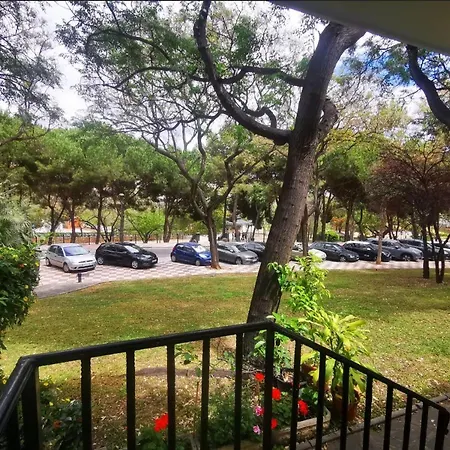 Town Marbella